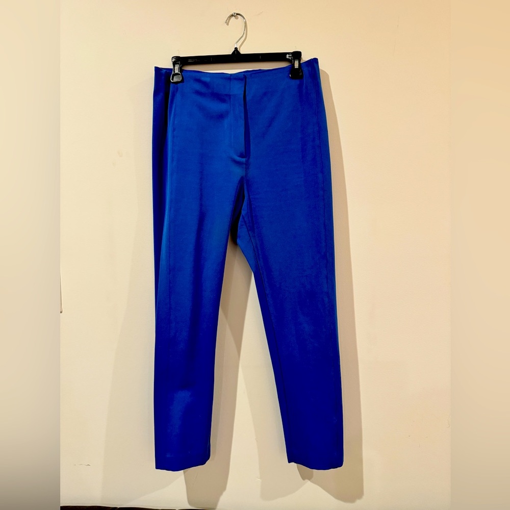 Ann Taylor Women’s Trousers Size 10P- Cobalt Blur- Ankle Split, front zip
